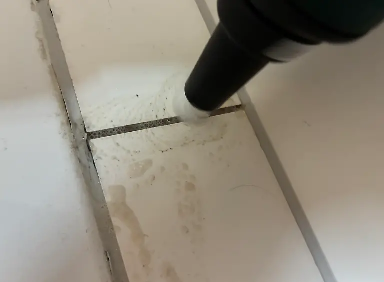 Bosch Detailbürste